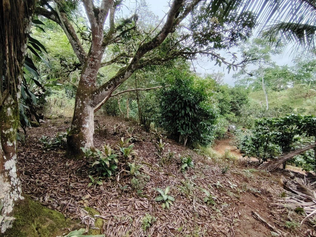Home Construction Site For Sale in General Viejo - Gallery image 5