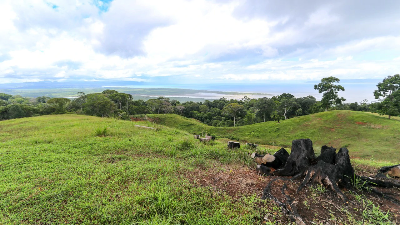 Unique Development Property Overlooking the Pristine Golfito Bay and Golfo Dulce - Gallery image 20