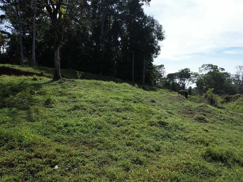 69.16 Acres Property | Mountain & Top Ocean View with Small Home - Gallery image 12