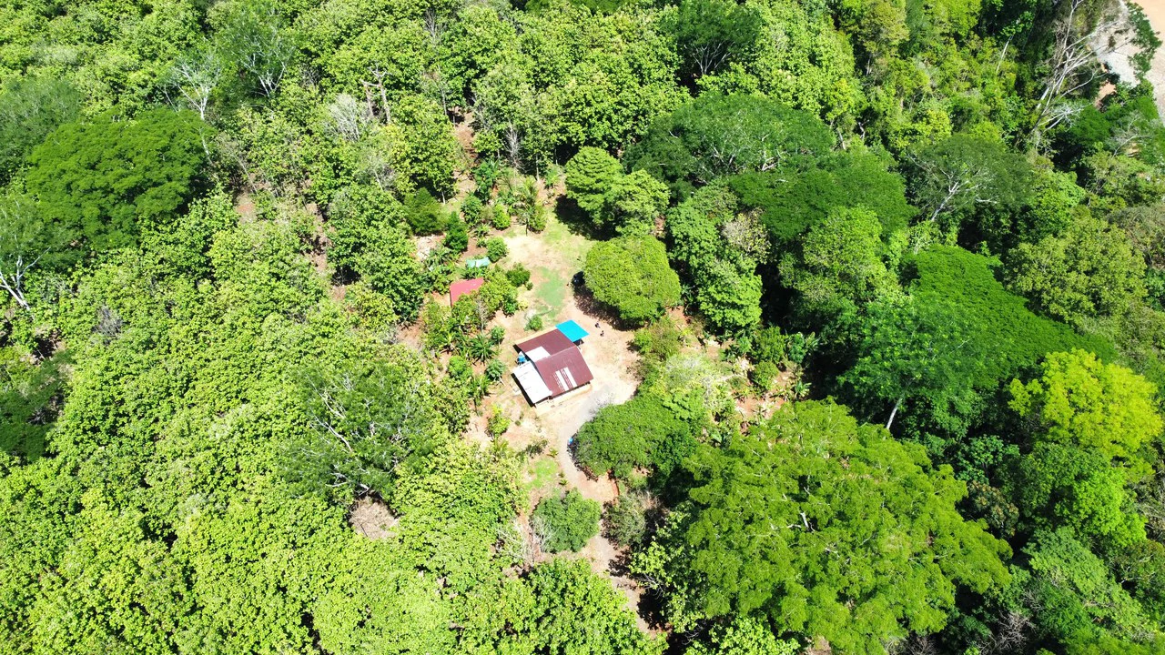 7-Hectare Farm with Teak Plantation, Existing Home & Eco-Development Potential Near Parrita, Costa Rica - Gallery image 8