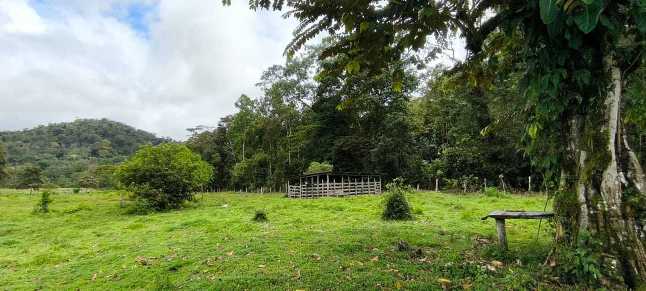 23 Acres of Paradise at Bahia Drake - Gallery image 27