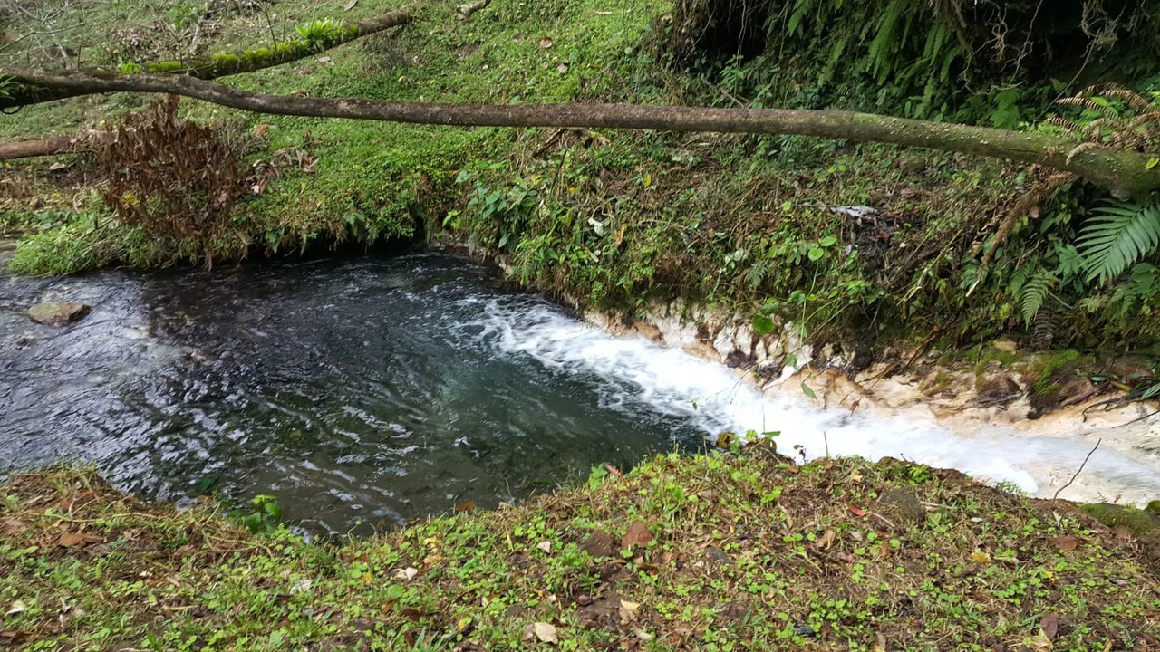 Cold & Hot springs surrounded by an overgrown farm, taken back by nature - Gallery image 89
