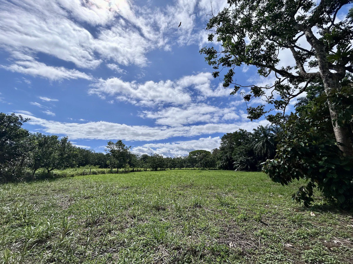 Titled Property Near The Golfo Dulce Coast - Gallery image 7