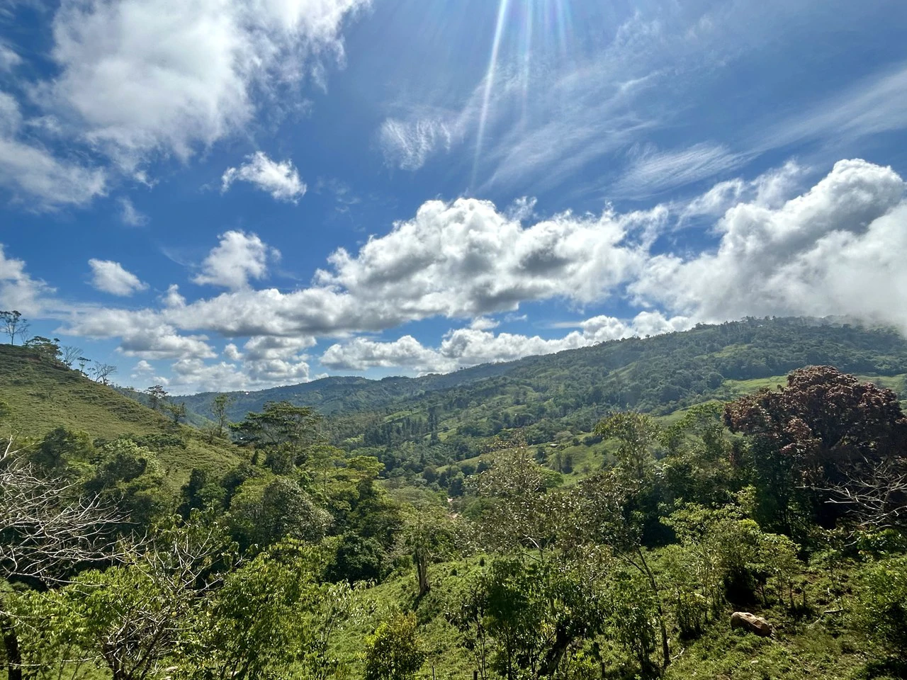Finca Ceibo Memo: Mountain Home Construction Site For Sale in San Isidro del General - Gallery image 42