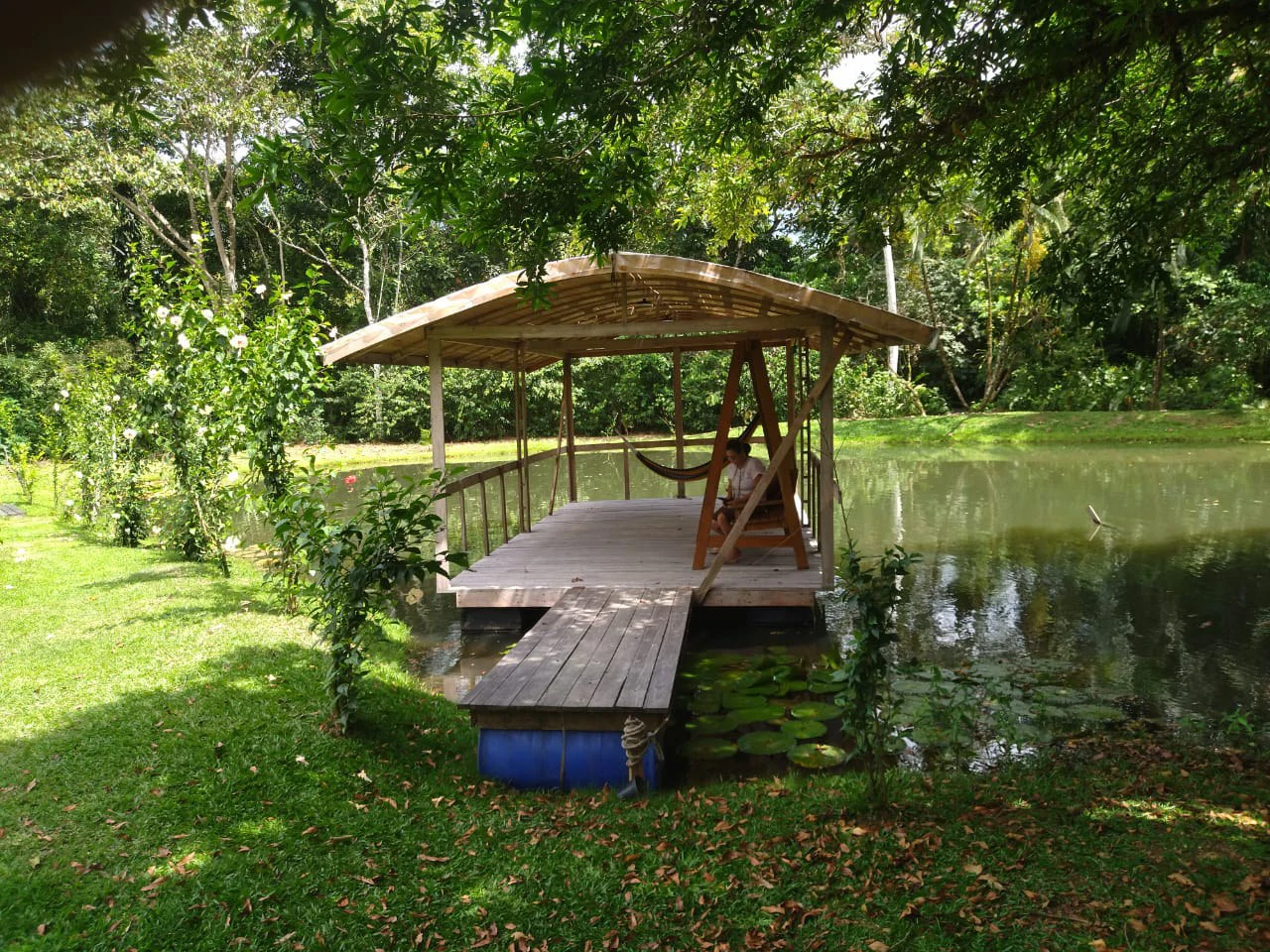 Pristine Business for Sale in Santo Domingos Forest, 3 cabins surrounded by wild nature, Tilapia lake with a dock, and a Restaurant - Gallery image 8