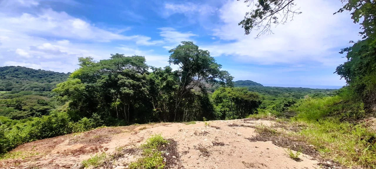 Buena Vista Ocean View Lot: Countryside and Mountain Home Construction Site For Sale in Buena Vista