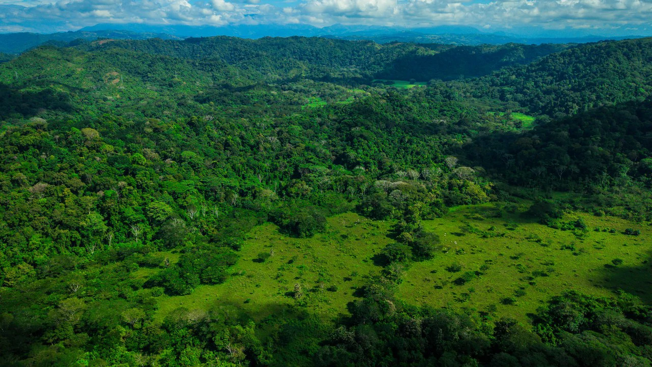 4,850 Acre Beachfront Legacy Ranch Esterillos Central Pacific Coast - Gallery image 9