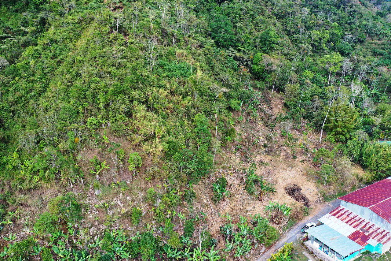Canaan de Rivas 10 acres Above San Isidro - Gallery image 12