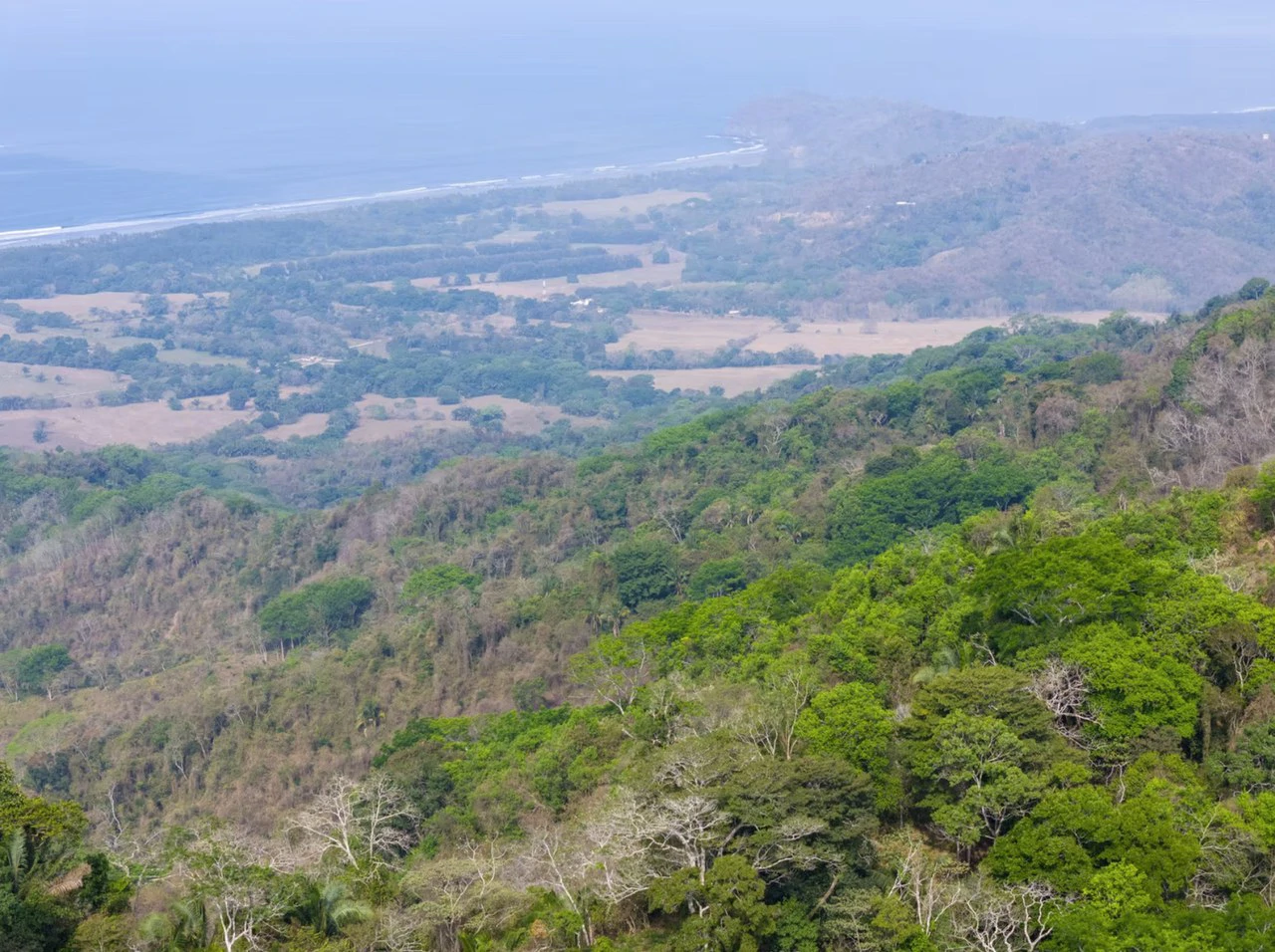 Ocean view farm for sale Costa Rica San Miguel Beach Costa de Oro - Gallery image 12