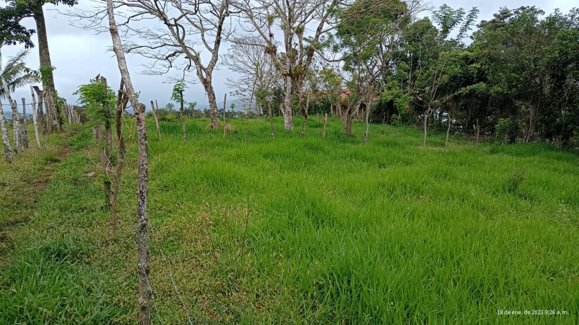 Quinta Aurora: Mountain and Lake View lot, ready for construction - Gallery image 3