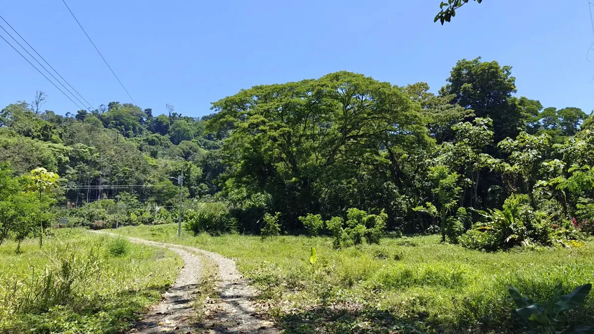 ID 924: El Cortijo: El Cortijo - Residential Lots for Sale in Hone Creek Near Puerto Viejo - Gallery image 2