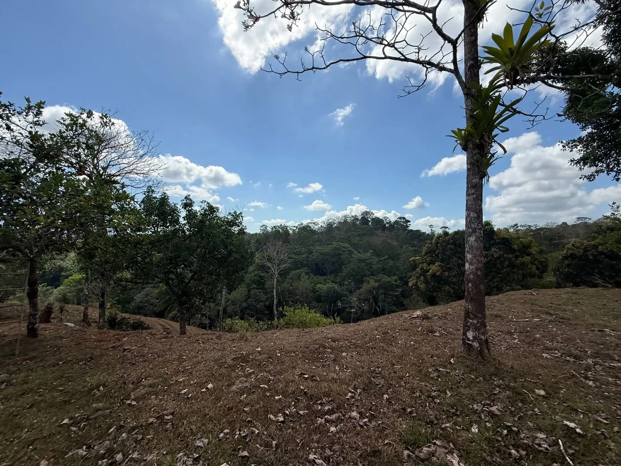 11.4 Hectare Mountain Estate: Lush Forest, River & Farm Potential in Arenal Puriscal , San Jose - Gallery image 7