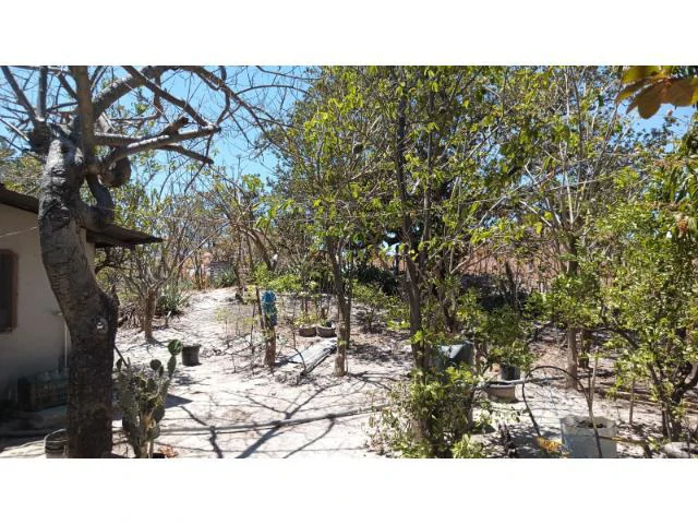 Huge Tico-Farm for sale with a big house in the mountains of Liberia, surrounded by nature and fantastic valley views - Gallery image 10