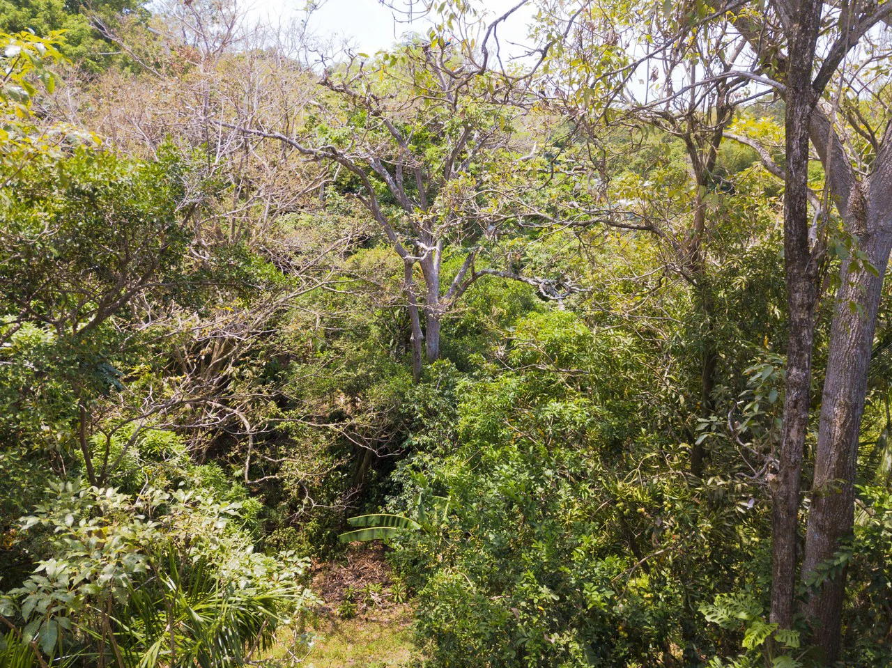 2 Suite Apartment Villa in the heart of Manuel Antonio - Gallery image 31