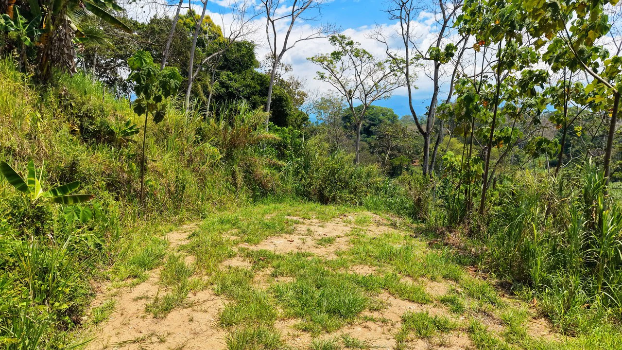 Countryside Home Construction Site For Sale in San Pedro - Gallery image 11