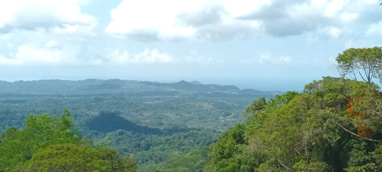 SECLUDED PARADISE WITH STUNNING VIEWS, WATERFALLS & ABUNDANT WILDLIFE - Gallery image 14