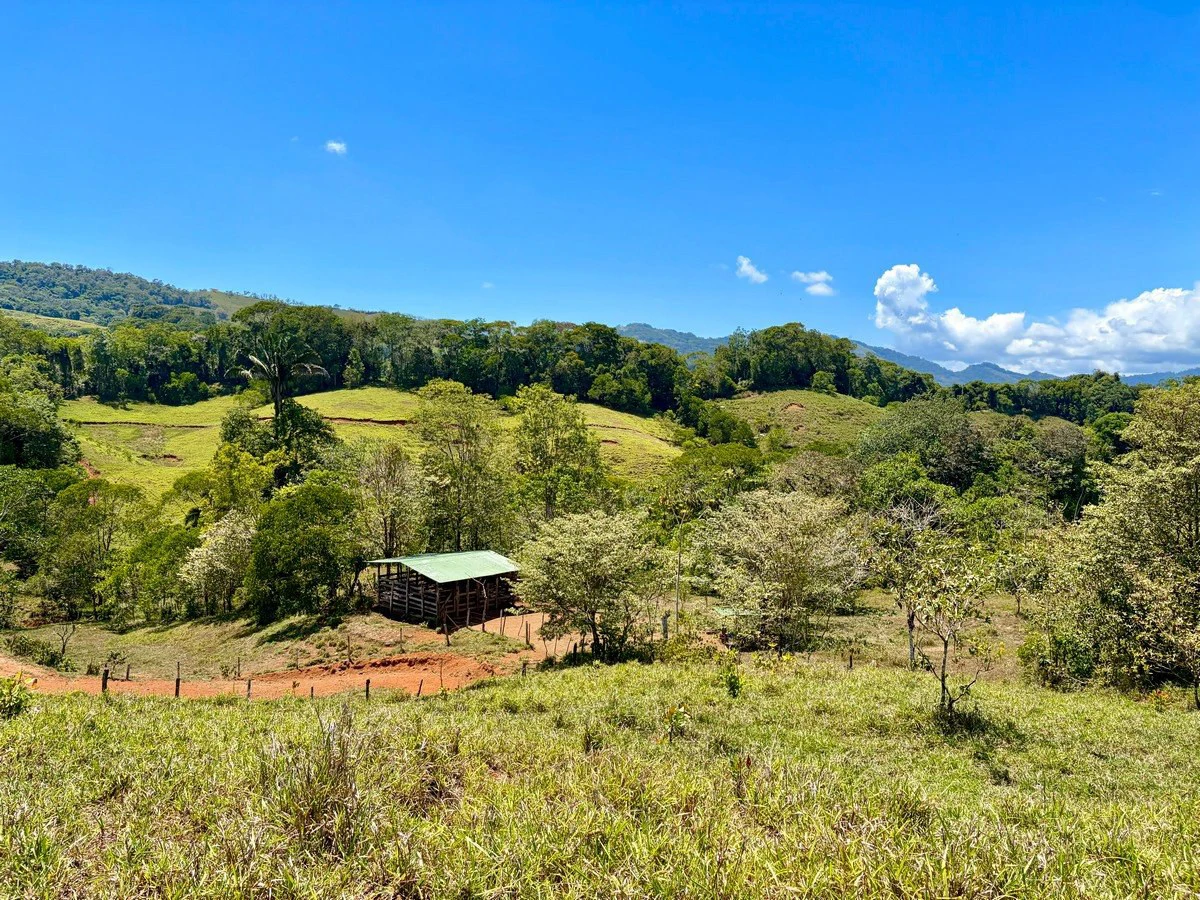 8.77 ACRES – Private Land Just 20 Min to Dominical, Beautiful Mountain Views, Legal Water, Electricity, Public Road, Private Setting, Ready to Build!!!! - Gallery image 9