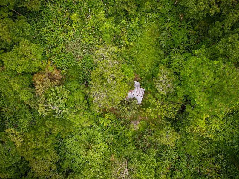 Golfo Dulce Waterfall Jungle Farm | A Nature Lover's Dream Come True - Gallery image 4
