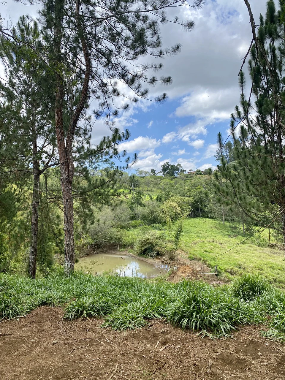 54 Acre Ranch in San Vito, Coto Brus - Gallery image 19