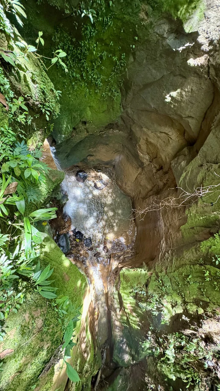 Spring, Waterfalls and more!  Farm in San Vito Limoncito! - Gallery image 24