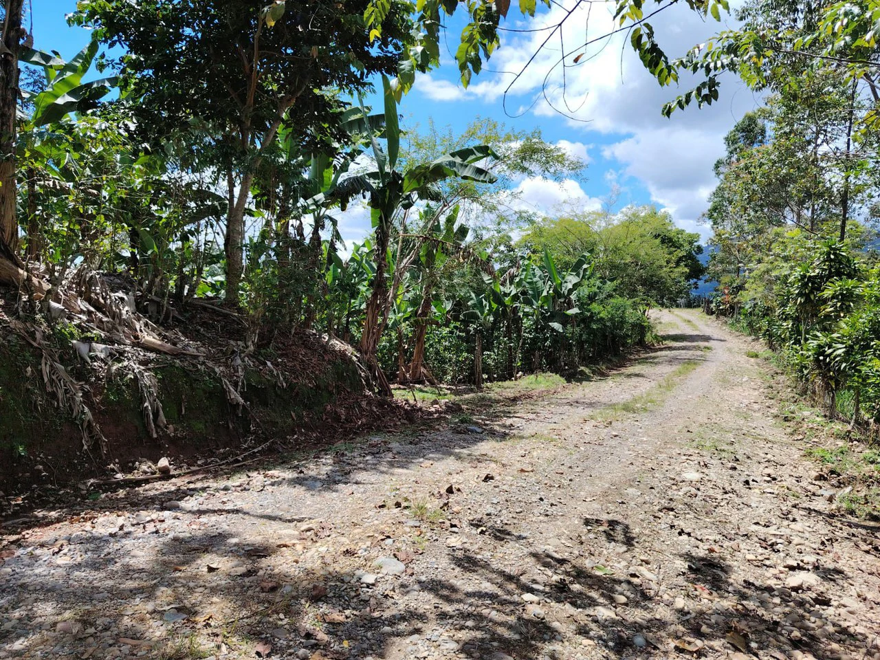 Countryside Home Construction Site For Sale in Guadalupe - Gallery image 4