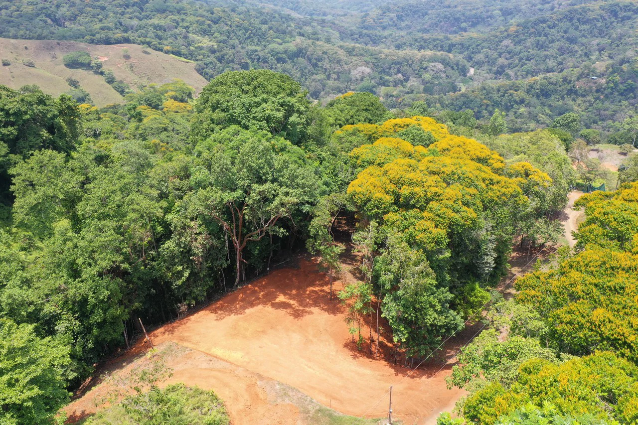 2.5 Acre Jungle and Valley View Home site in Dominical - Gallery image 3