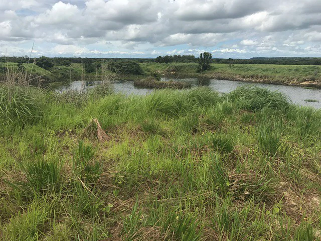 Large Development Land for Sale in Liberia, Guanacaste, Costa Rica - Gallery image 51
