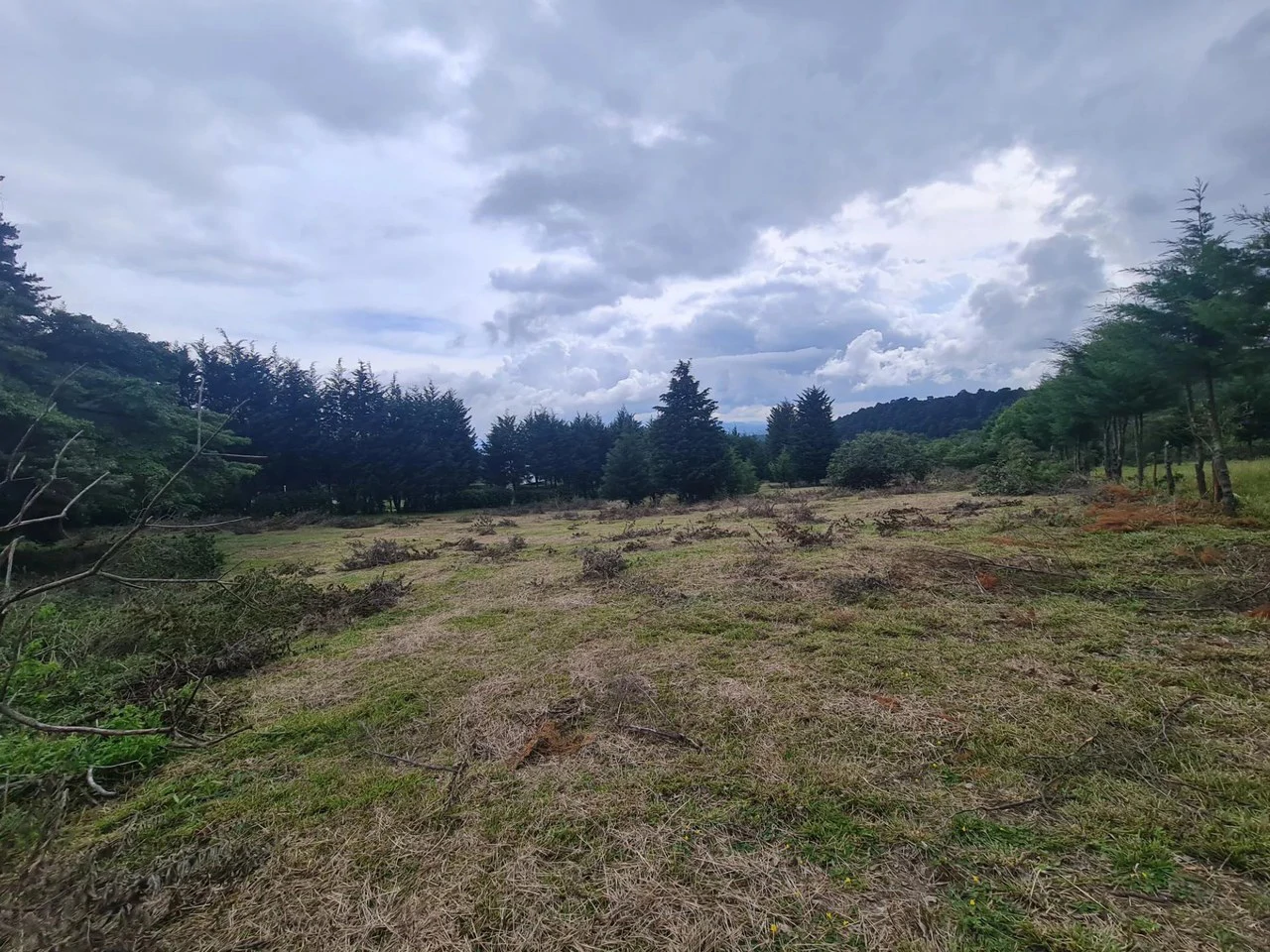 Agricultural Land For Sale in San Isidro - Gallery image 6