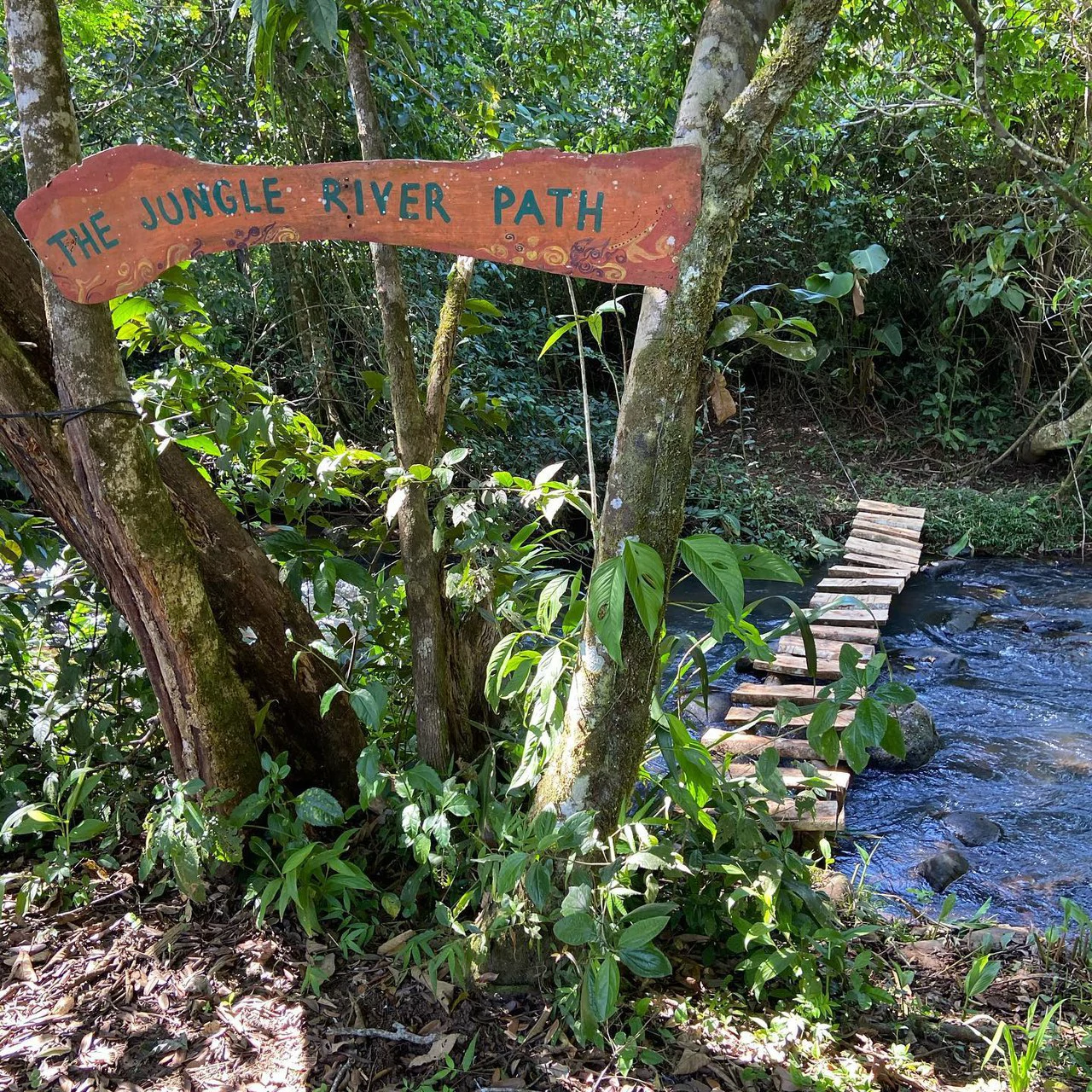 RIO SABALO: Yoga- Wellness-  and Eco Retreat Center