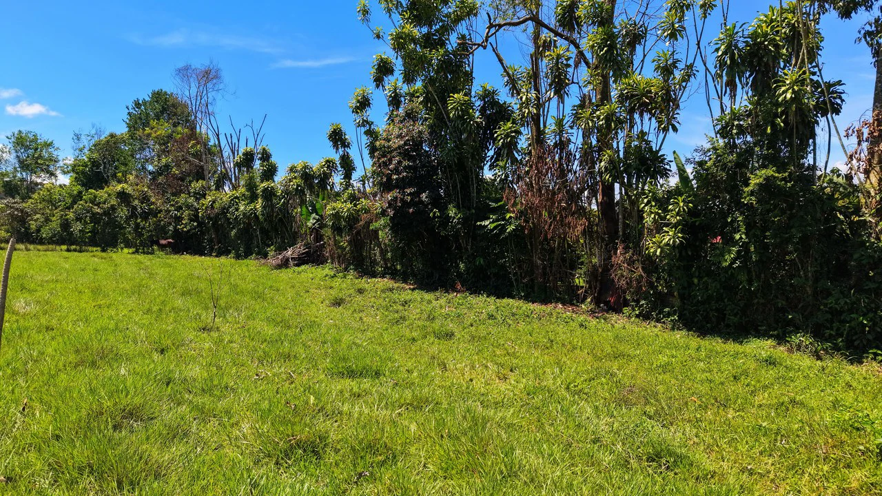 Countryside Home Construction Site For Sale in Daniel Flores - Gallery image 10
