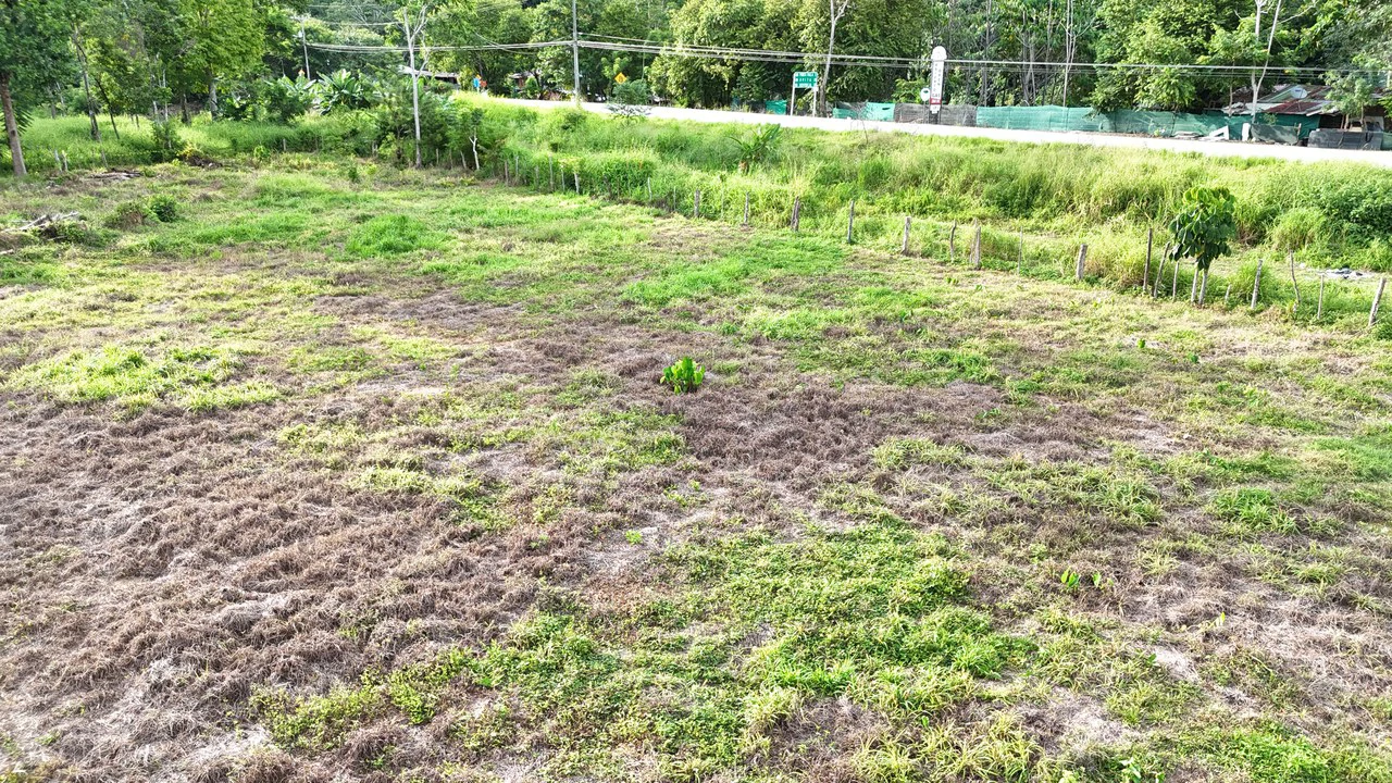 COMMERCIAL LOT IN CORONADO! MAIN HIGHWAY, 1.6 ACRES!: Mountain Home Construction Site For Sale in Puerto Cortés - Gallery image 14