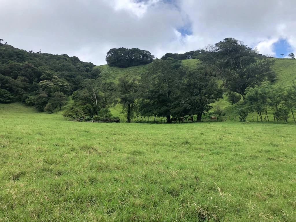 Beautiful property with lake view - Arenal - Gallery image 14
