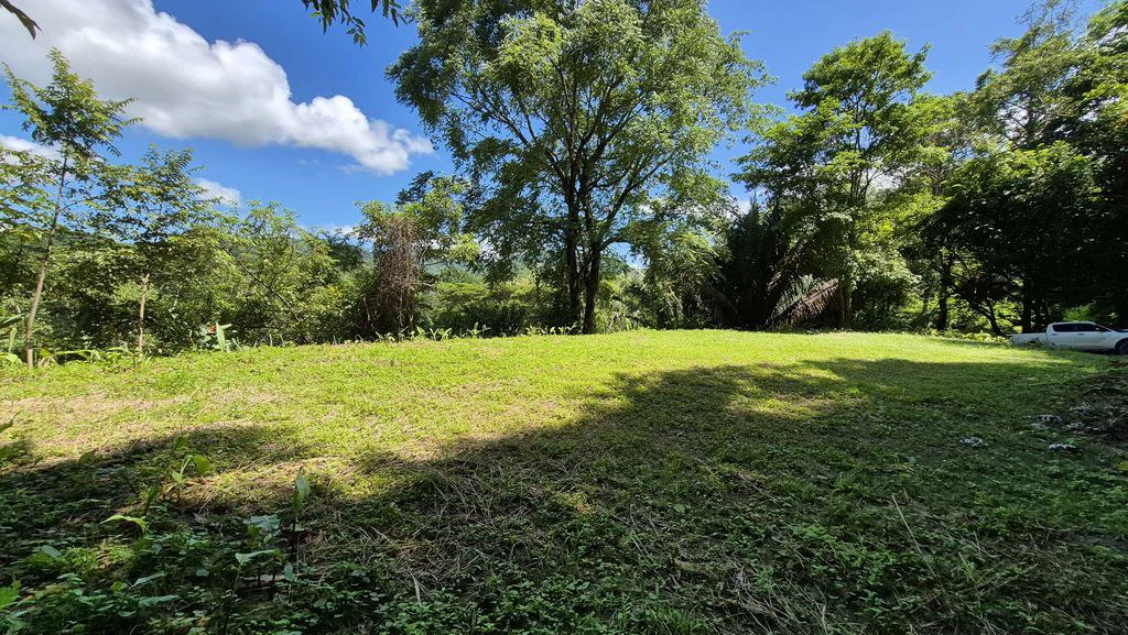 Lote Vista Montaña: Elevated Lot with Mountain and Jungle Views in Buena Vista, Just Minutes from Samara Beach - Gallery image 3