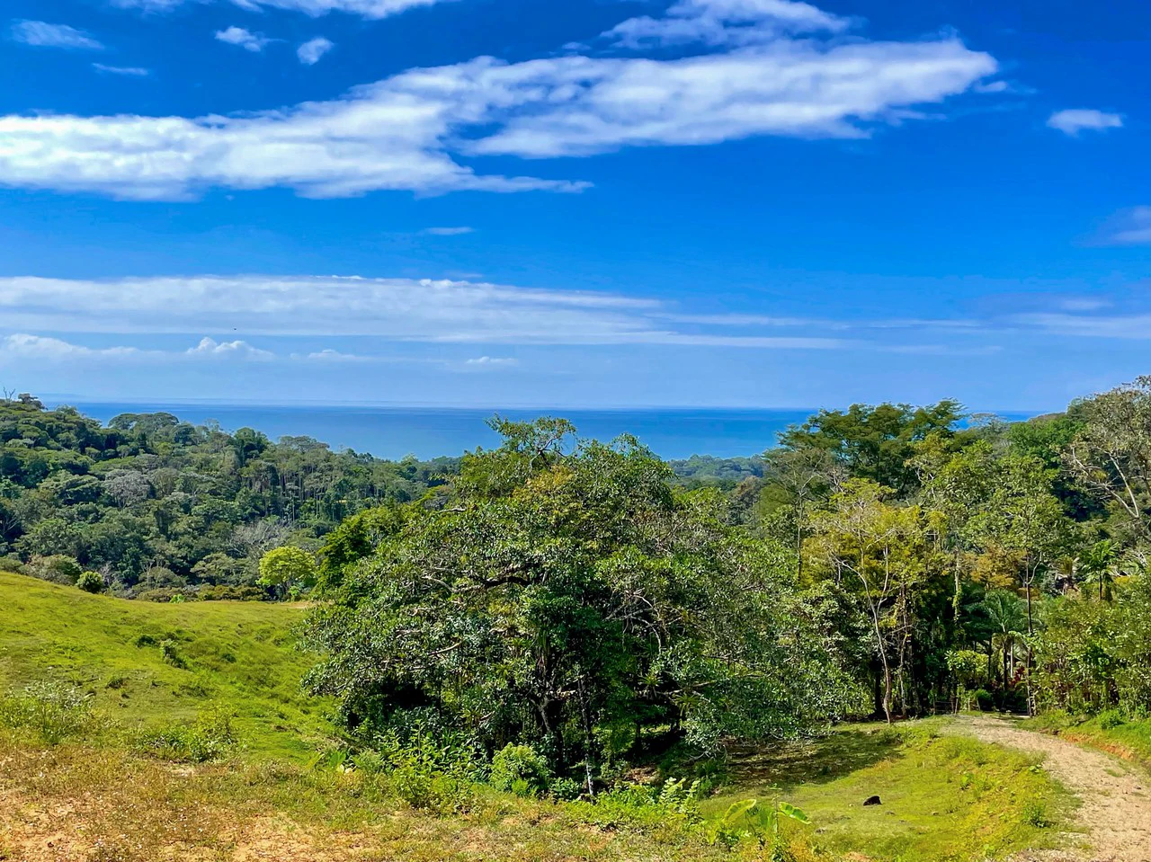 2.24 ACRES – 7 Bedrooms Ocean View Boutique Hotel With Two Pools, 5 Minutes to Uvita, Multiple Rental Options!! - Gallery image 11