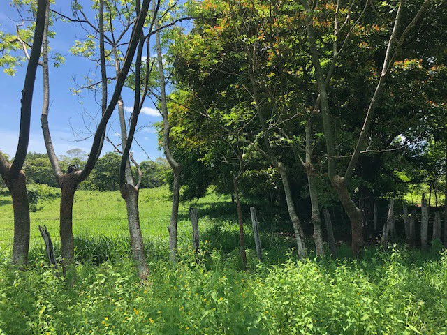 Amazing 50% discount for Huge ocean-view farm for sale surrounded by soft rolling hills and pristine nature - Gallery image 30