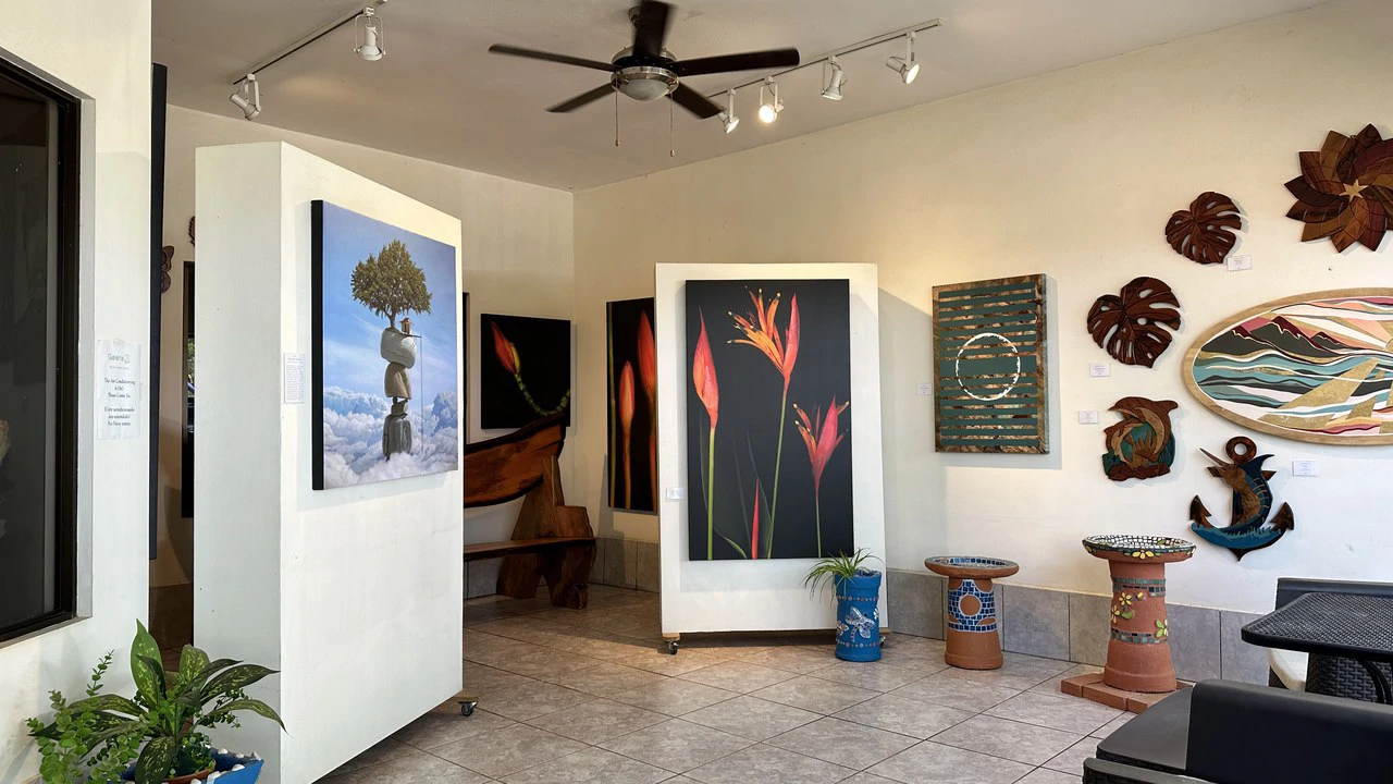 Commercial Space In Prime High Traffic Area in Uvita Costa Rica with garden - Gallery image 2