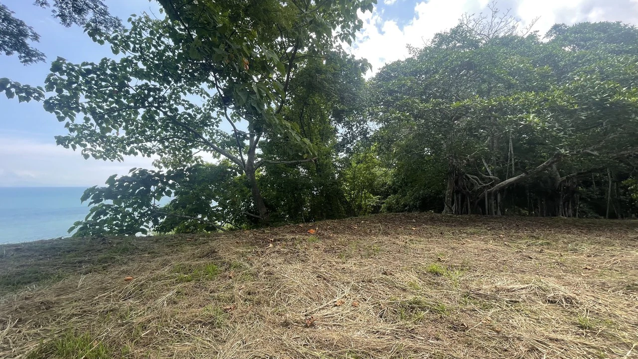 Lote playa Pita Puntarenas:    Your Opportunity on Costa Rica’s Central Pacific Coast - Gallery image 10