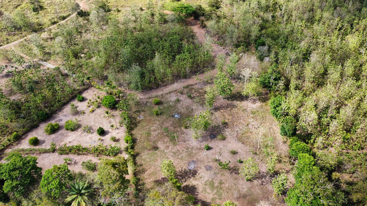 Off the grid property | Located in a privileged area, surrounded by natural beauty: Mountain Home Construction Site For Sale in Damas - Gallery image 6