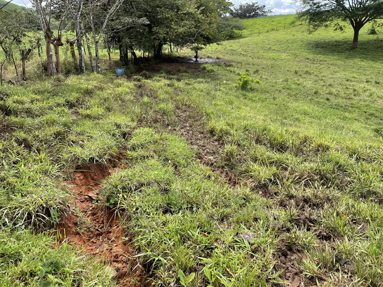10 acre Dream Mountain Farmland near Monteverde - Gallery image 6