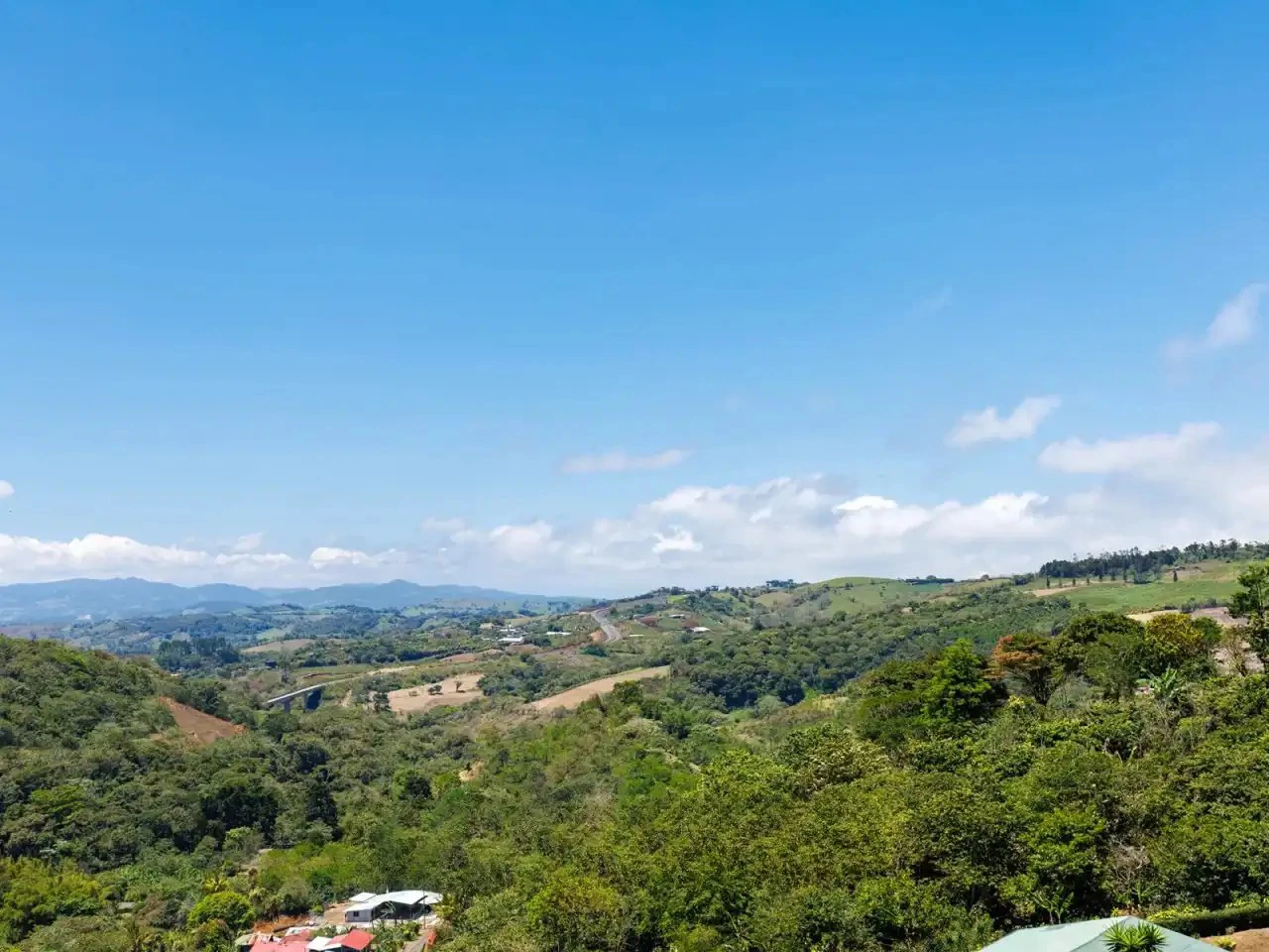 Mountain Home Construction Site For Sale in San Ramón - Gallery image 9