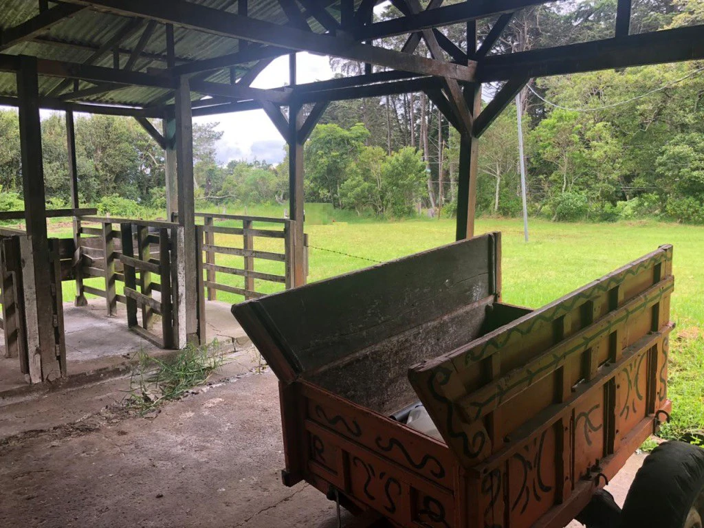 Horse ranch mountain farmland with its own stable's in San Rafael, Heredia - Gallery image 8