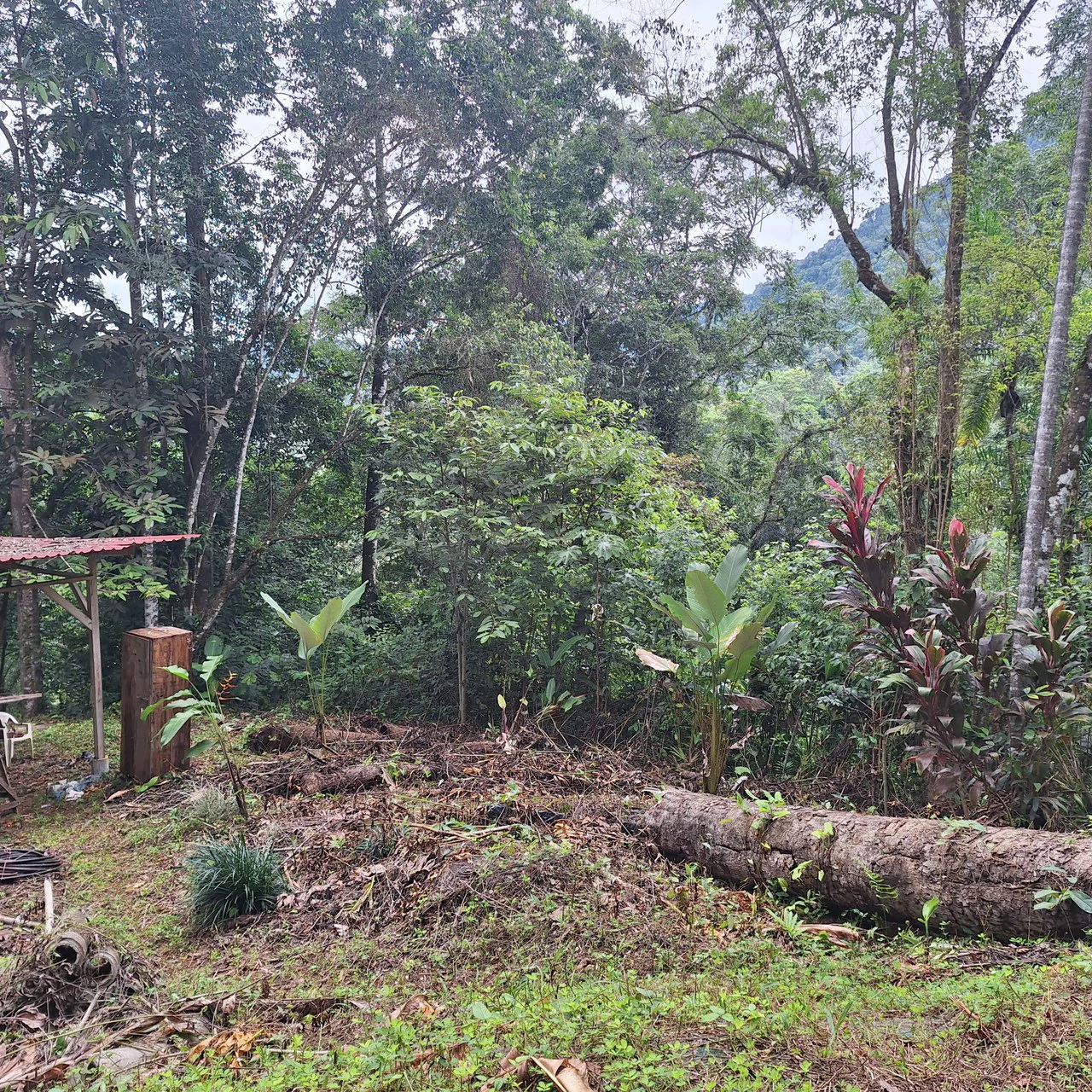 Tropical Paradise with Breathtaking Diamate Waterfall Views - Gallery image 4