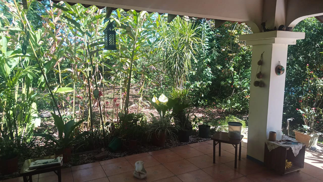 Private Home with Apartment, Pool, and Tropical Garden for Sale in Playas del Coco - Gallery image 4