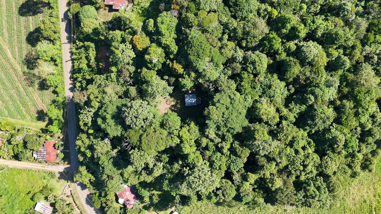 LOTE EN PEÑAS BLANCAS: Mountain Home Construction Site For Sale in El General - Gallery image 2