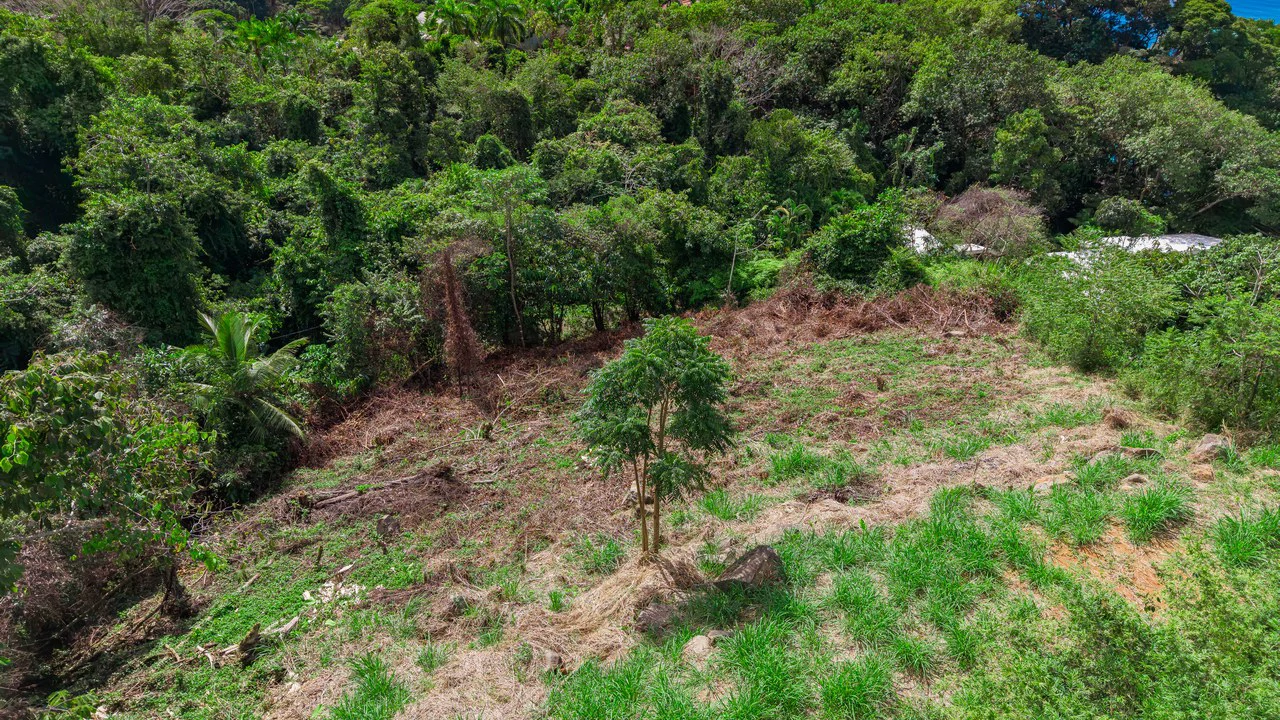 Luxury Ocean View Homesite in Escaleras Playa Dominical - Gallery image 14