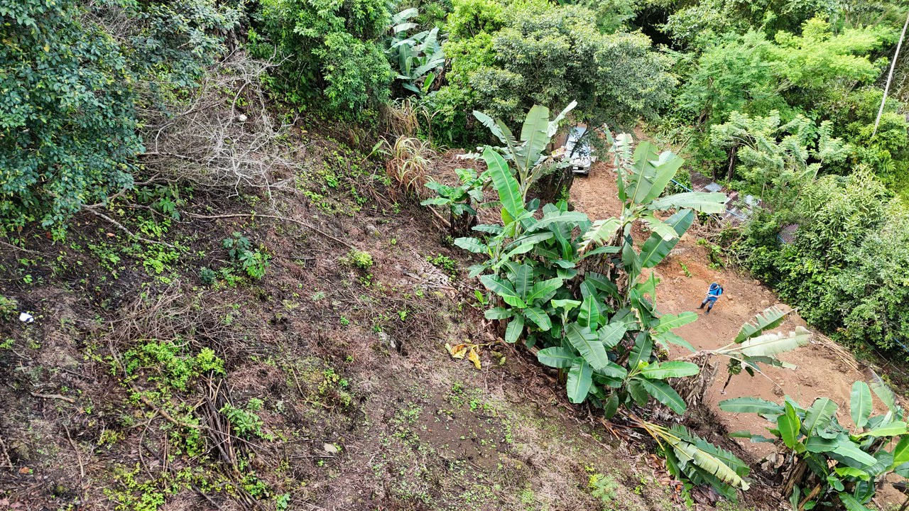 Lote en Chimirol.: Mountain Home Construction Site For Sale in Buena Vista - Gallery image 2