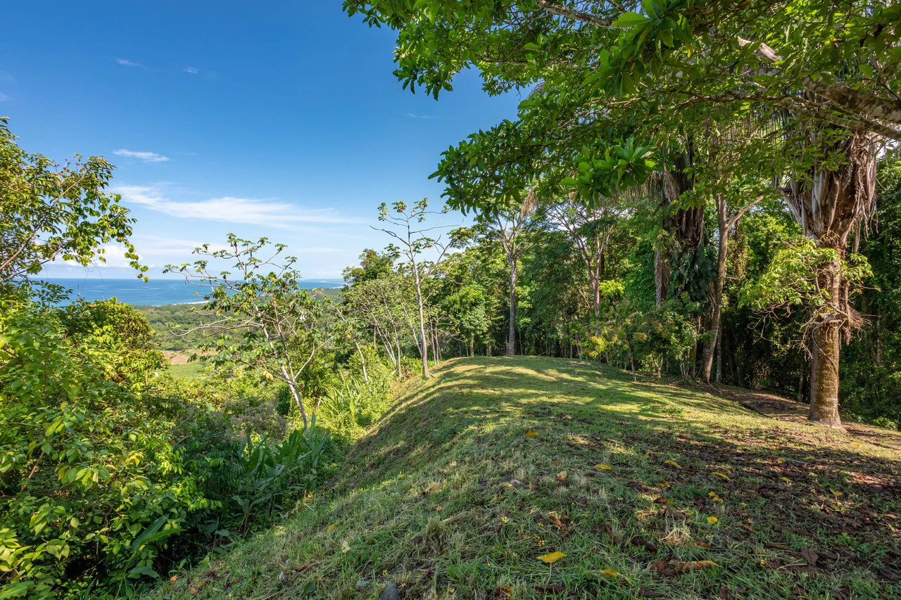 Front Row Ocean View Property with a Private Waterfall in Dominical - Gallery image 29