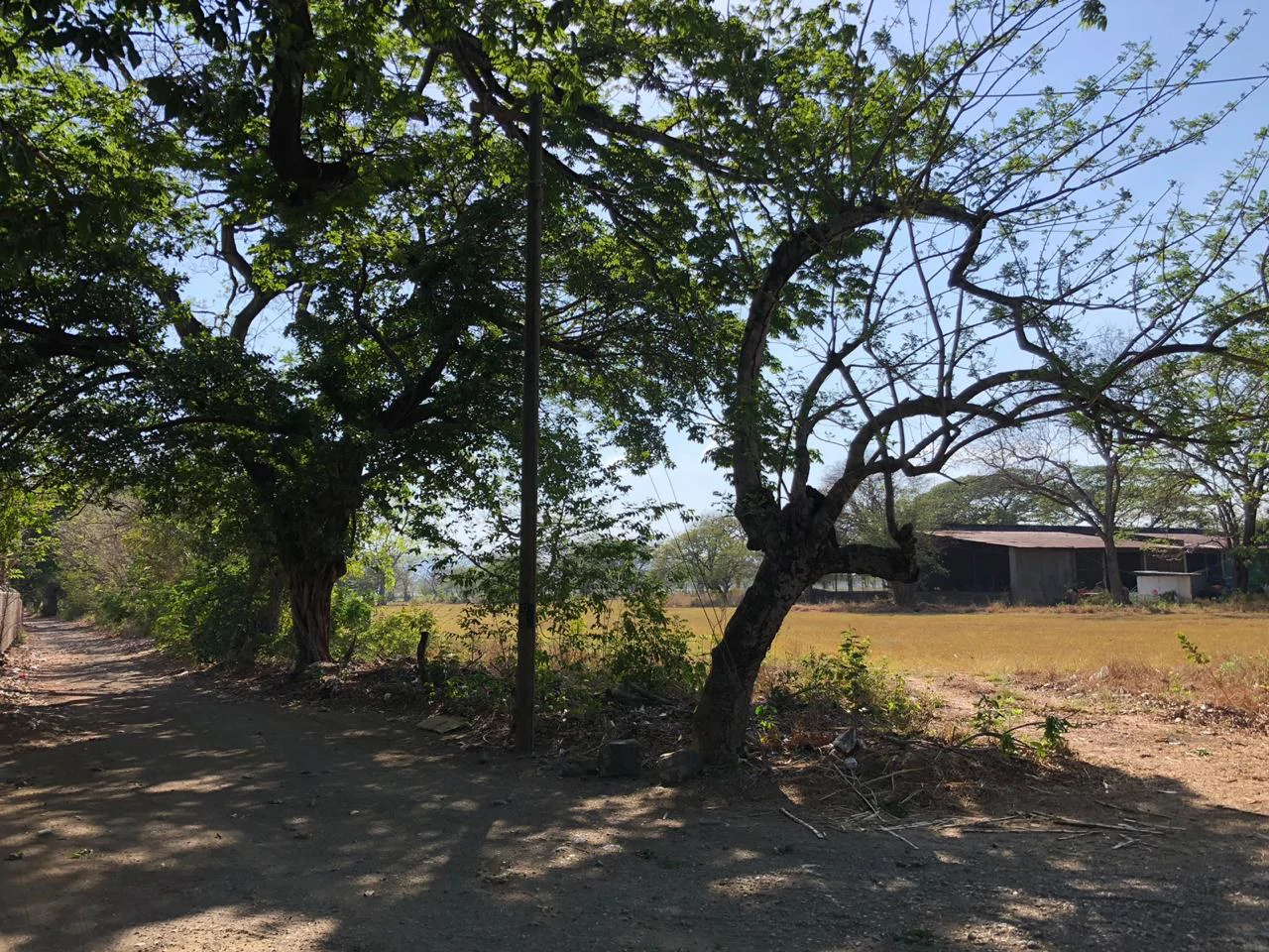 Large property with warehouses in Filadelfia, Carrillo - Gallery image 2