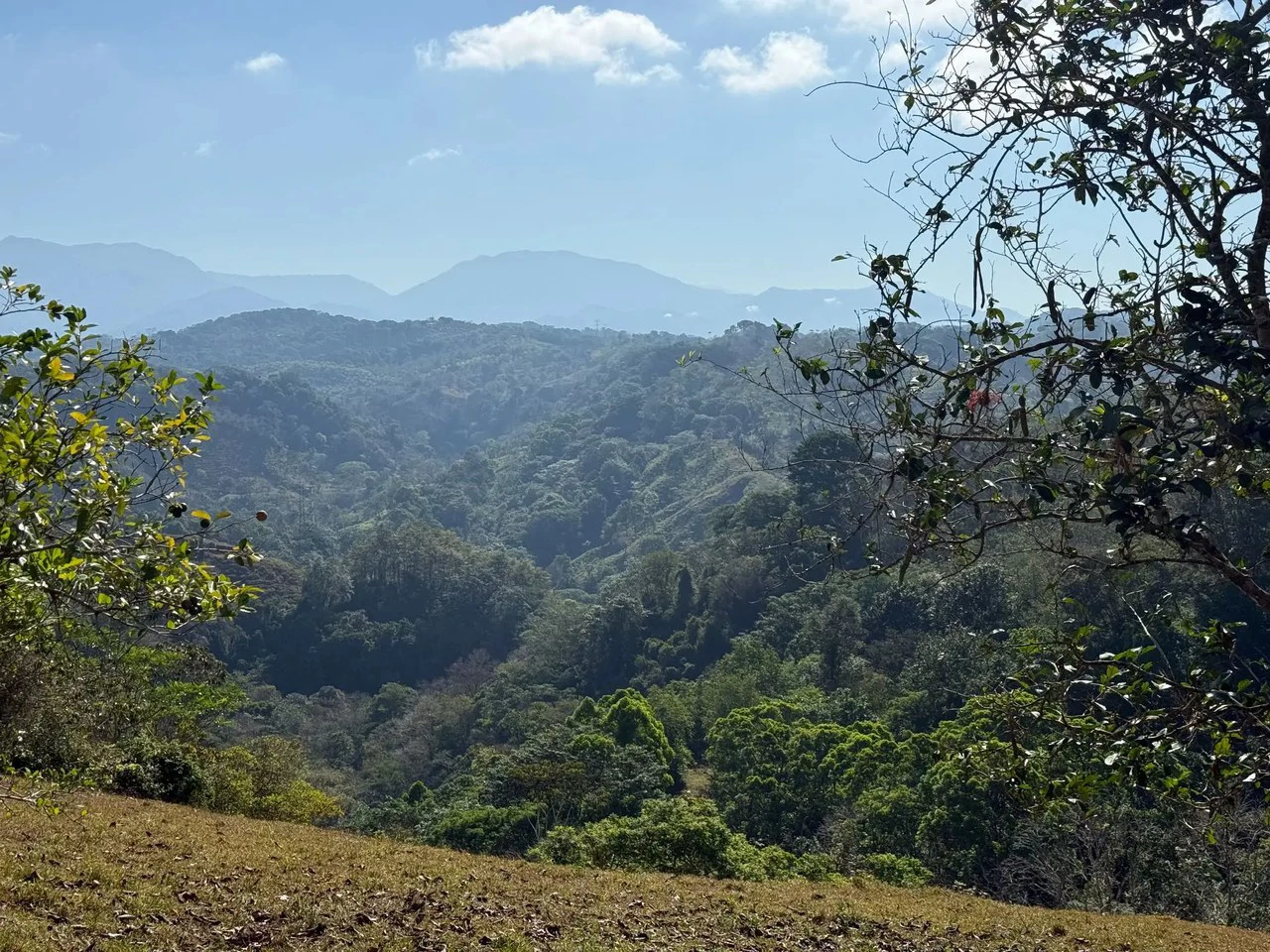 11.4 Hectare Mountain Estate: Lush Forest, River & Farm Potential in Arenal Puriscal , San Jose