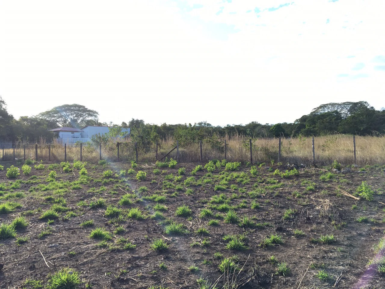 Propiedad cerca del Aeropuerto de Liberia : Countryside Development Parcel For Sale in Guardia - Gallery image 12